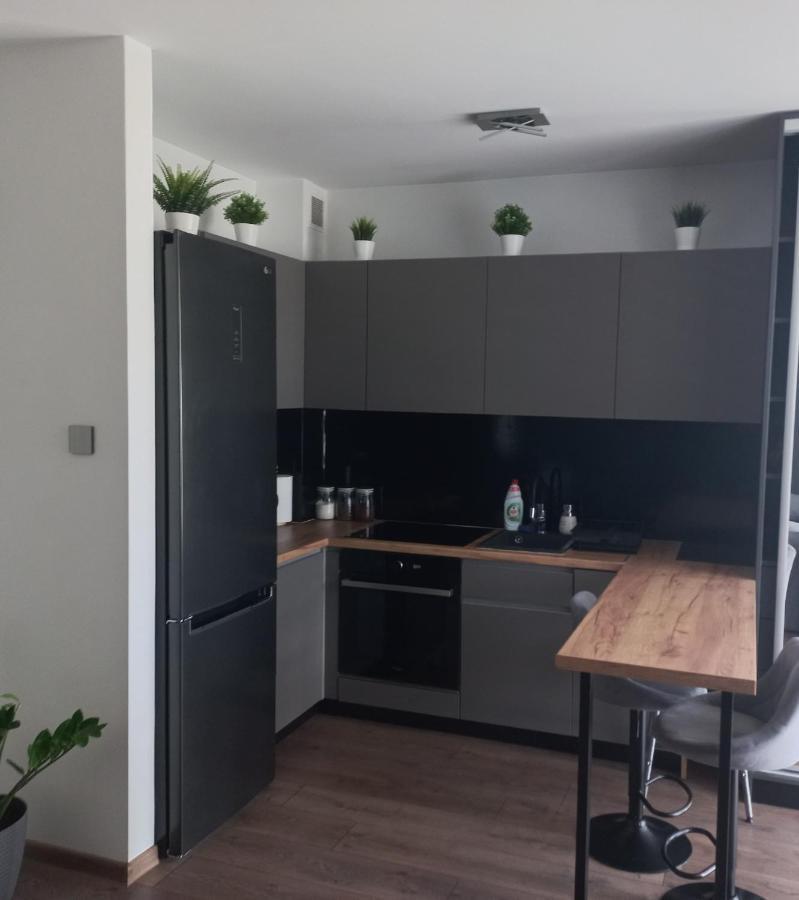Apartament Plater Apartment Pruszcz Gdanski Exterior photo