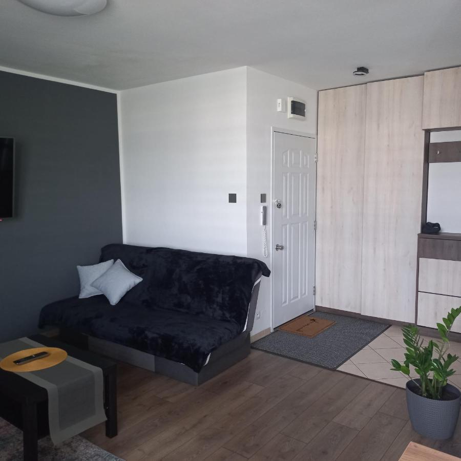 Apartament Plater Apartment Pruszcz Gdanski Exterior photo